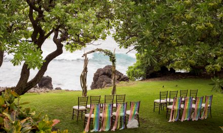 Rainbow Inspired Maui Wedding at the Kukahiko Estate
